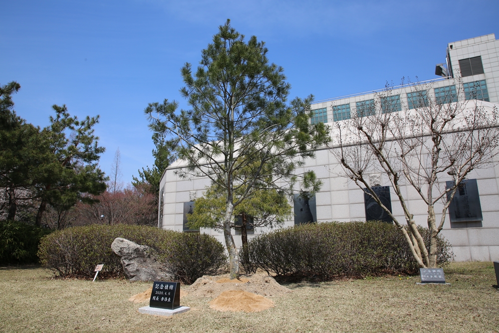 200406 식목행사002.JPG