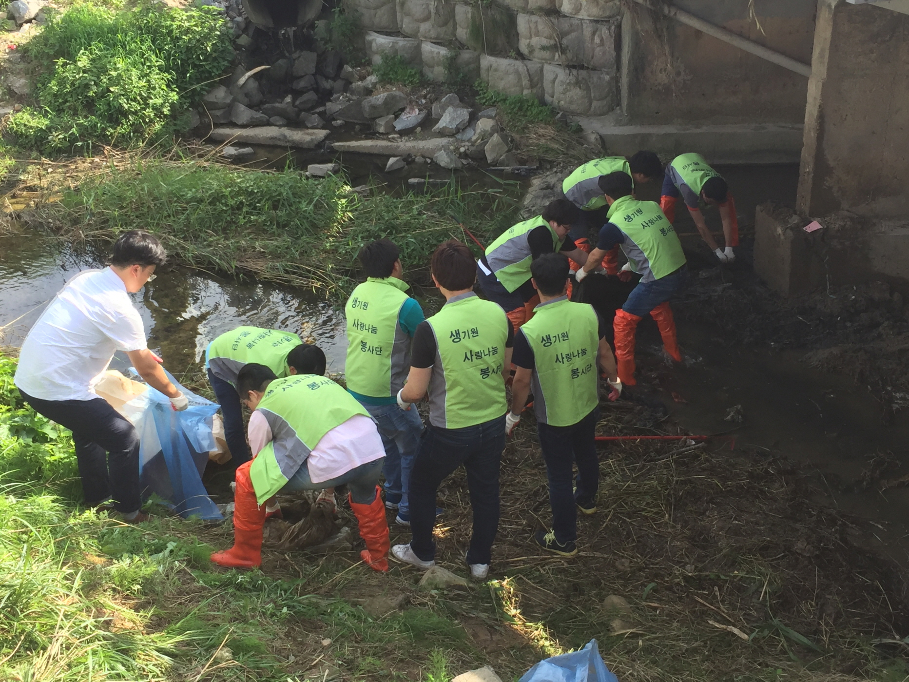 하천봉사활동.JPG