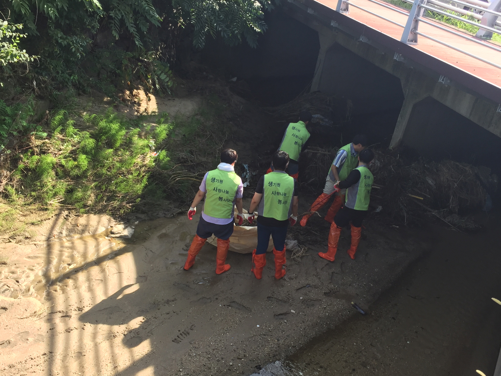 하천봉사활동 (3).JPG