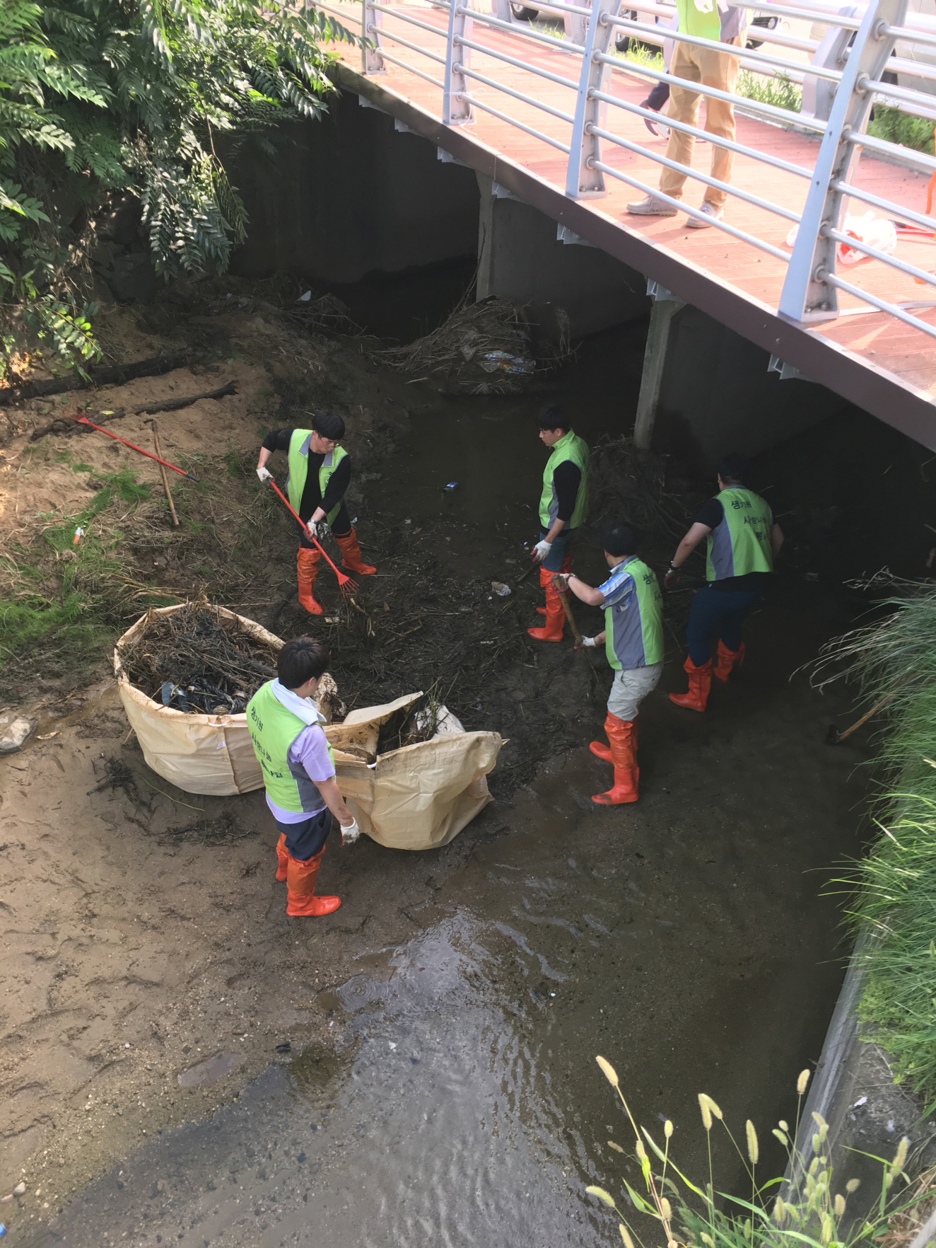 하천봉사활동 (4).JPG