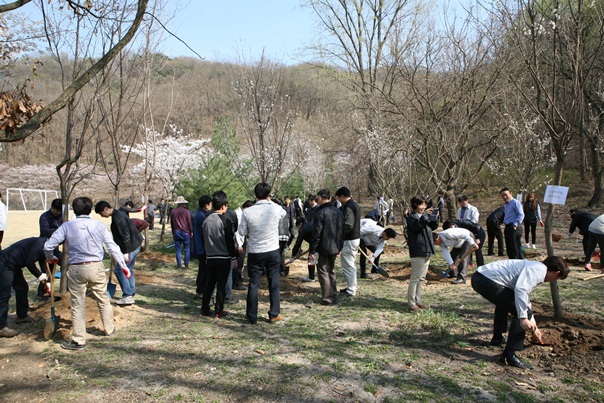 부서별_왕벚나무심기2.jpg