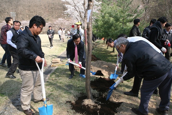 부서별_왕벚나무심기1.jpg