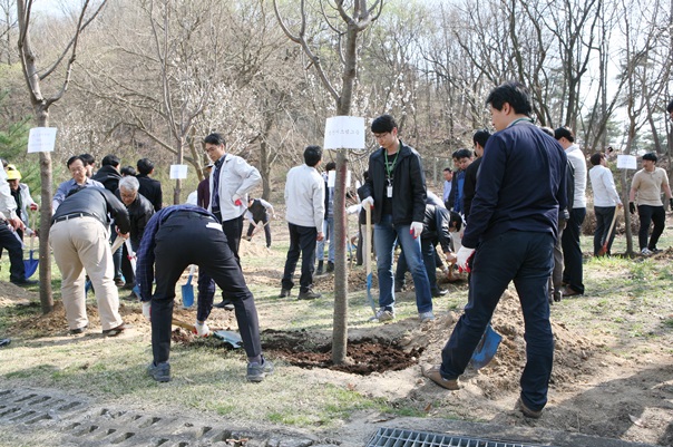 부서별_왕벚나무심기3.jpg