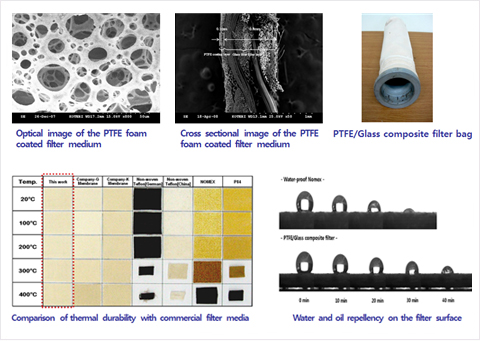 PTFE/Glass º¹ÇÕÇÊÅÍ
