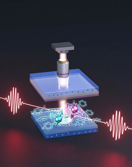 지역 산업 생태계 활성화
