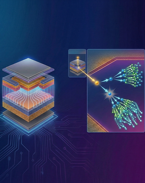 '산업 밀착형' 패러다임 정립
