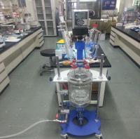 Polymer synthesis reactor
