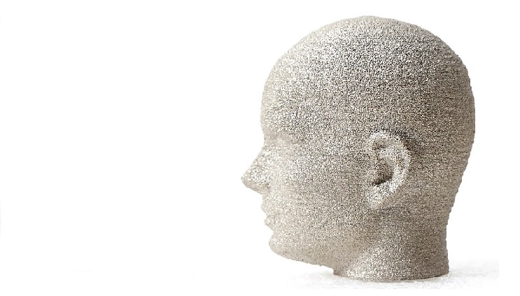 3DÇÁ¸°ÆÃÀ» ÀÌ¿ëÇØ °í°µµ ¼ø¼ö ƼŸ´½À¸·Î Á¦ÀÛÇÑ µÎ»ó »çÁø 3DÇÁ¸°ÆÃÀ» ÀÌ¿ëÇØ °í°µµ ¼ø¼ö ƼŸ´½À¸·Î Á¦ÀÛÇÑ µÎ»ó »çÁø